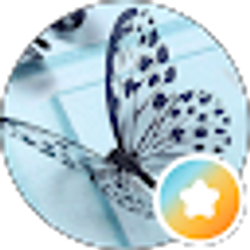 Profile photo of Butterfly Beautiful