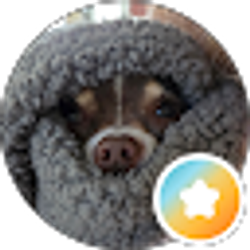 Profile photo of Angel12 Boucher