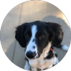 Profile photo of Alysha Gregg