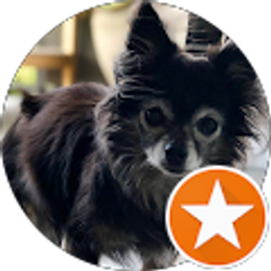 Profile photo of Suzanne Magno