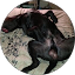 Profile photo of Tony Elkins