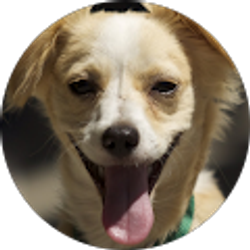 Profile photo of Margaret Paul