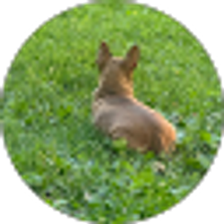 Profile photo of Lourdes Juarezz