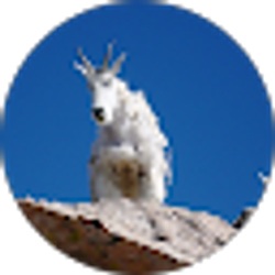 Profile photo of Marlin Ekiss