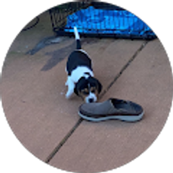 Profile photo of Ross Finney