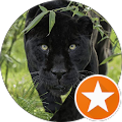 Profile photo of Josette Myers