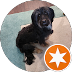 Profile photo of Charlotte Taylor Rhodes