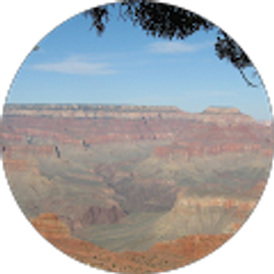 Profile photo of Gary Dennis