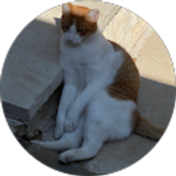 Profile photo of Mary Littrell