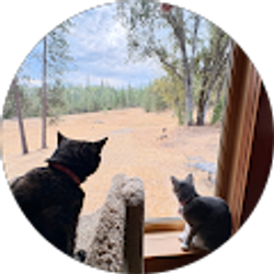 Profile photo of Mary Sutton