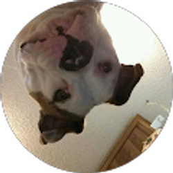 Profile photo of Carla Gibson