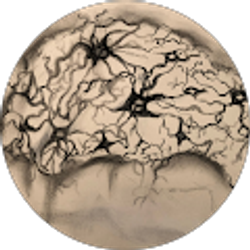 Profile photo of A Antonio Beltran