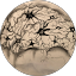 Profile photo of A Antonio Beltran