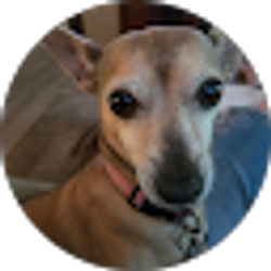 Profile photo of Patricia Nadeau