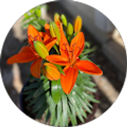 Profile photo of Jackie Gonzales