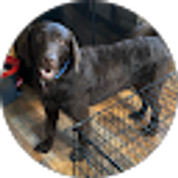 Profile photo of Crystal Gross