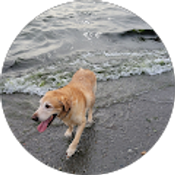 Profile photo of Doug Benesch