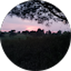 Profile photo of Daniel Porter