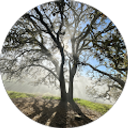 Profile photo of Trent Albaeck