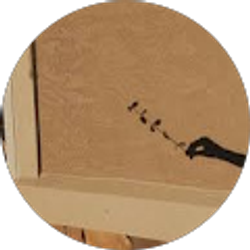 Profile photo of Łêmøñ Drøp