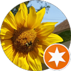 Profile photo of Paula Travers