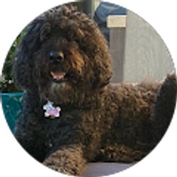 Profile photo of Russ Gaulke