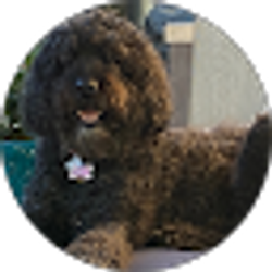 Profile photo of Russ Gaulke