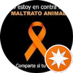 Profile photo of Totopillo Topilliux