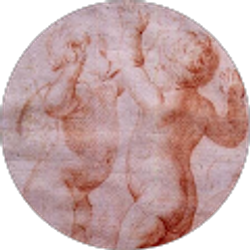 Profile photo of Burke Schuchmann