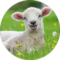 Profile photo of LittleLamb 123