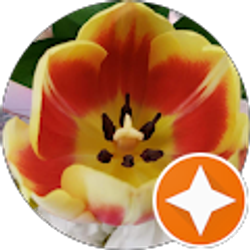 Profile photo of Teresita Ramirez Osuna