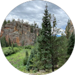 Profile photo of D W