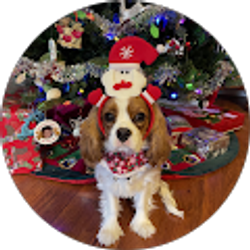 Profile photo of Glen Hamilton