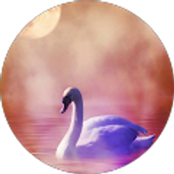 Profile photo of patti Stohlmann