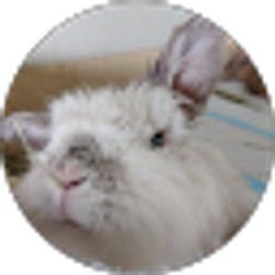 Profile photo of molly stuart