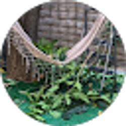 Profile photo of Jane R