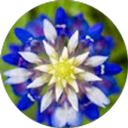 Profile photo of Vicki H