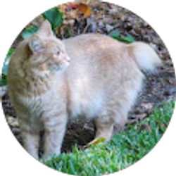 Profile photo of michelle leonard