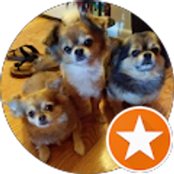 Profile photo of Tony Sauls