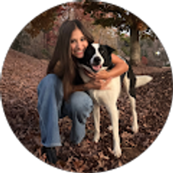 Profile photo of Araceli Sechrist