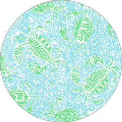 Profile photo of Paige Kathryn