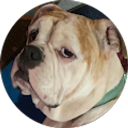 Profile photo of Janet Lauderdale