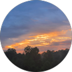 Profile photo of Abby Nicole