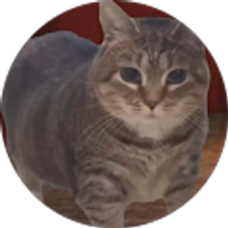 Profile photo of Michael Roper