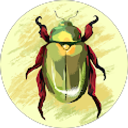 Profile photo of James Beall