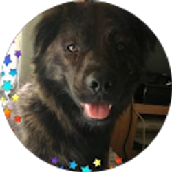 Profile photo of John Callahan