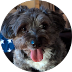 Profile photo of nancy cole