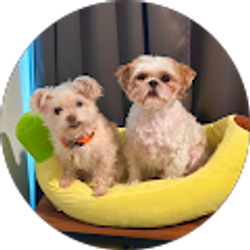 Profile photo of BlPadron