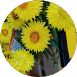 Profile photo of Kathy Hinds