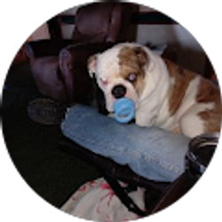 Profile photo of Julie Pekrul-Wilson